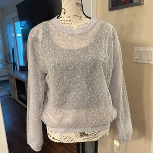 Zara Sequin and Pearl See-Through Sweater